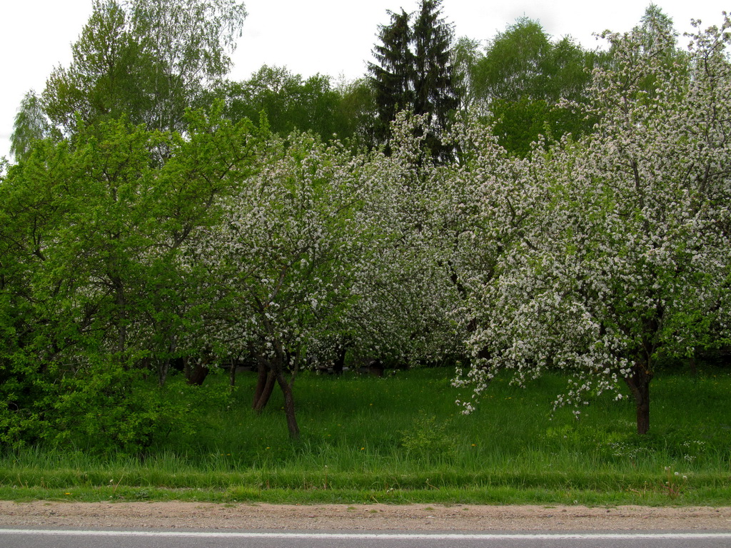 Нёвда, image of landscape/habitat.