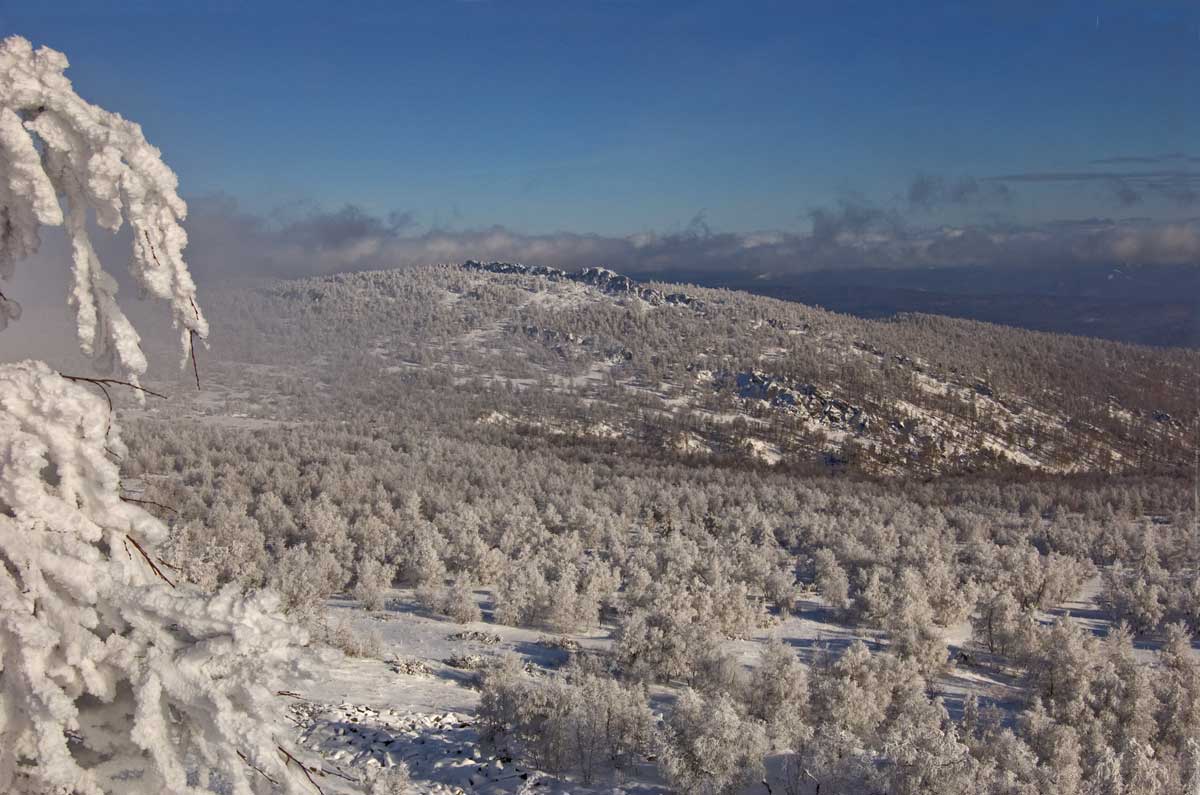 Большой Шатак, image of landscape/habitat.