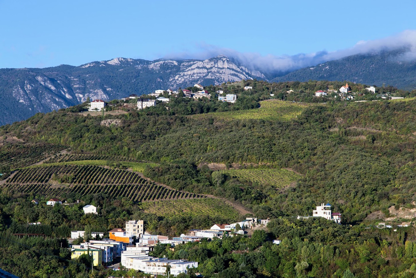 Партенит и окрестности, image of landscape/habitat.