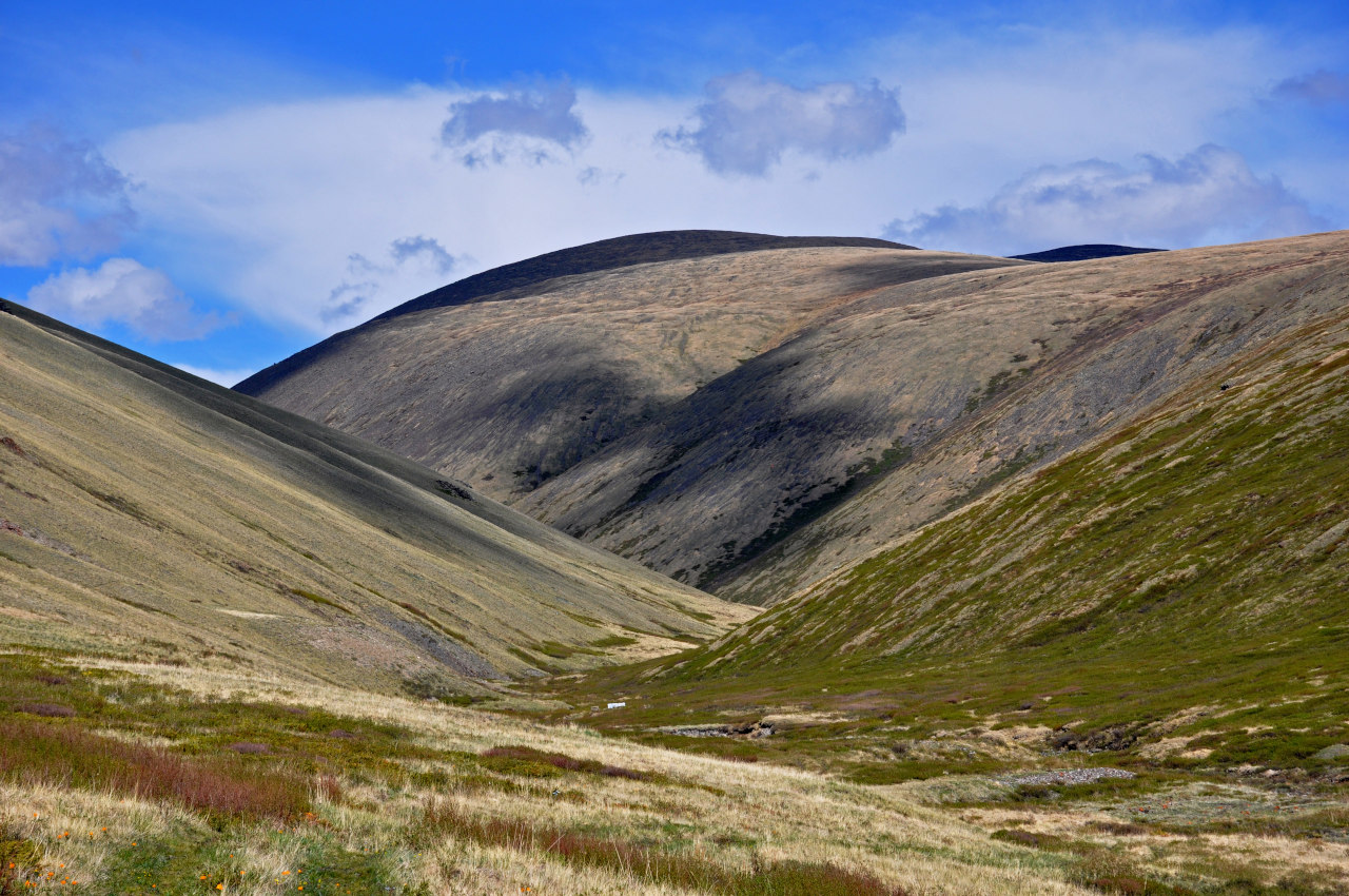 Долина реки Аккаллу-Озек, image of landscape/habitat.