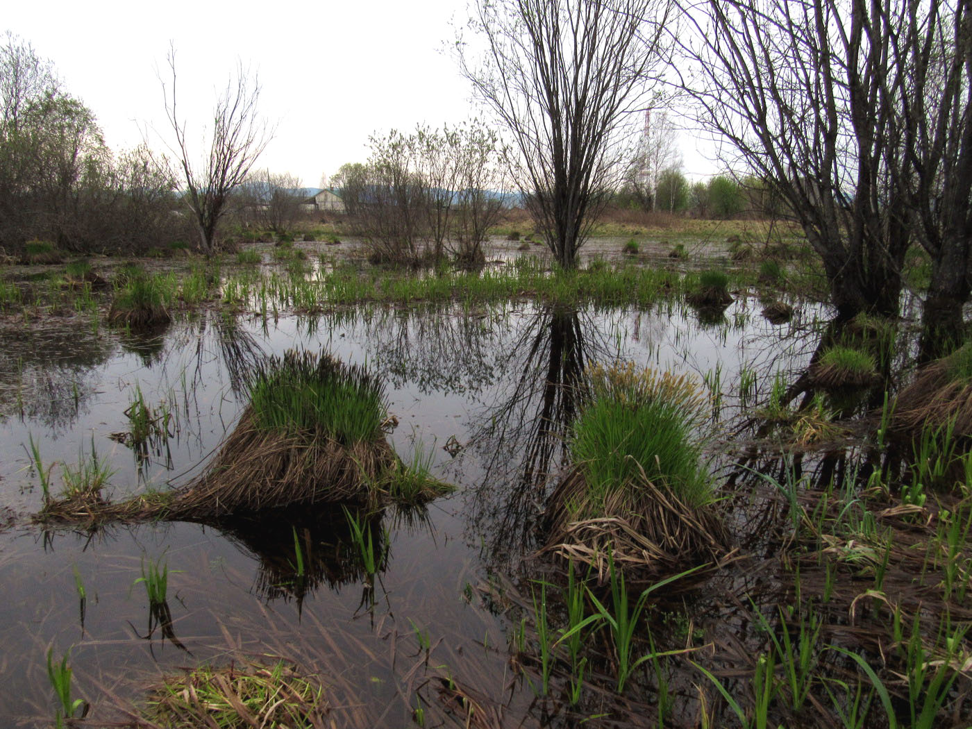 Танзыбей, image of landscape/habitat.