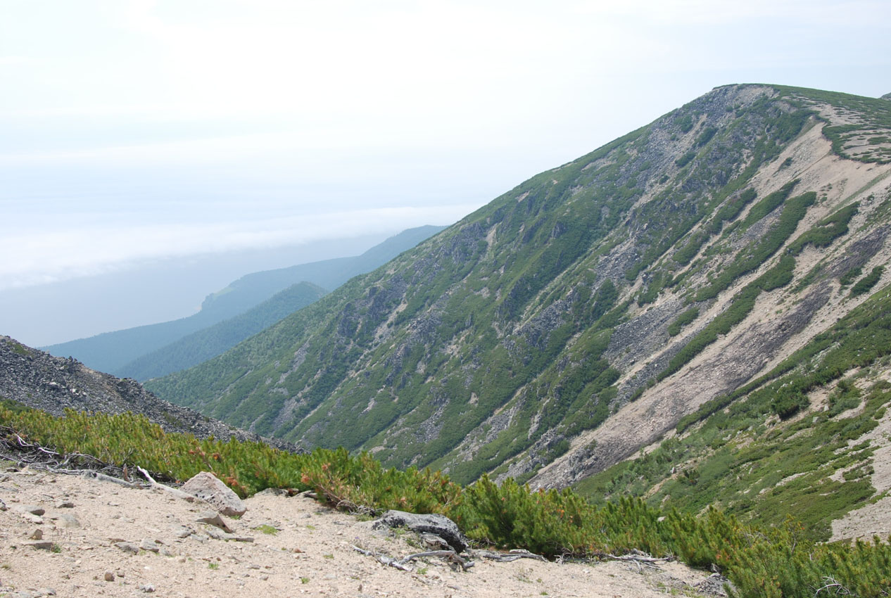 Плато полуострова Святой Нос, image of landscape/habitat.