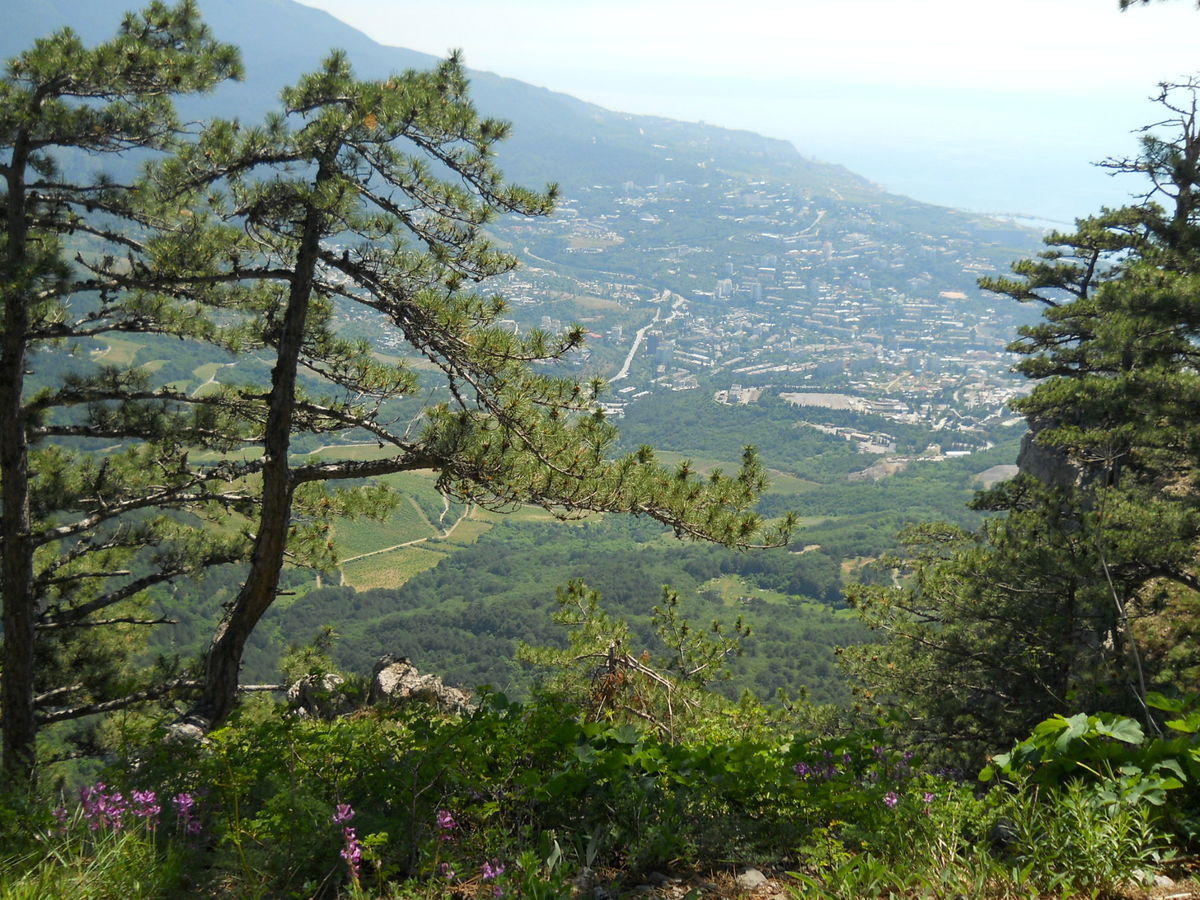 хр. Иограф над г. Ялта, image of landscape/habitat.