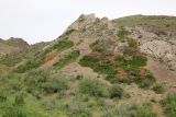 Image of landscape
