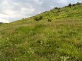 Image of landscape