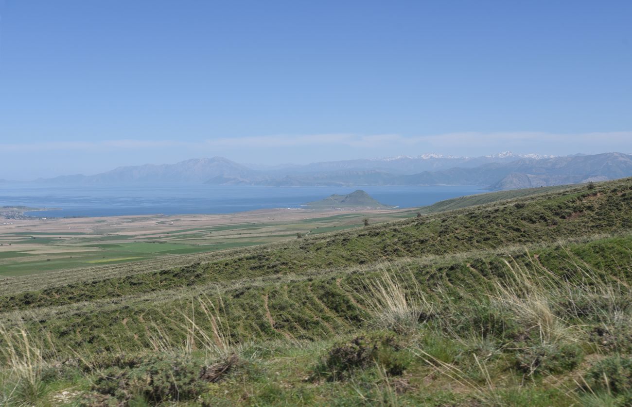 Окрестности горы Сивритепе, image of landscape/habitat.