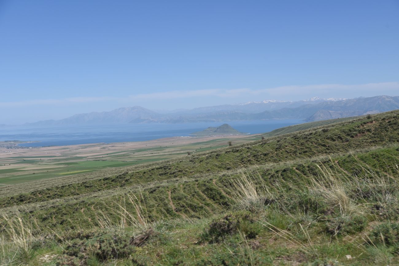 Сырт Магара, image of landscape/habitat.