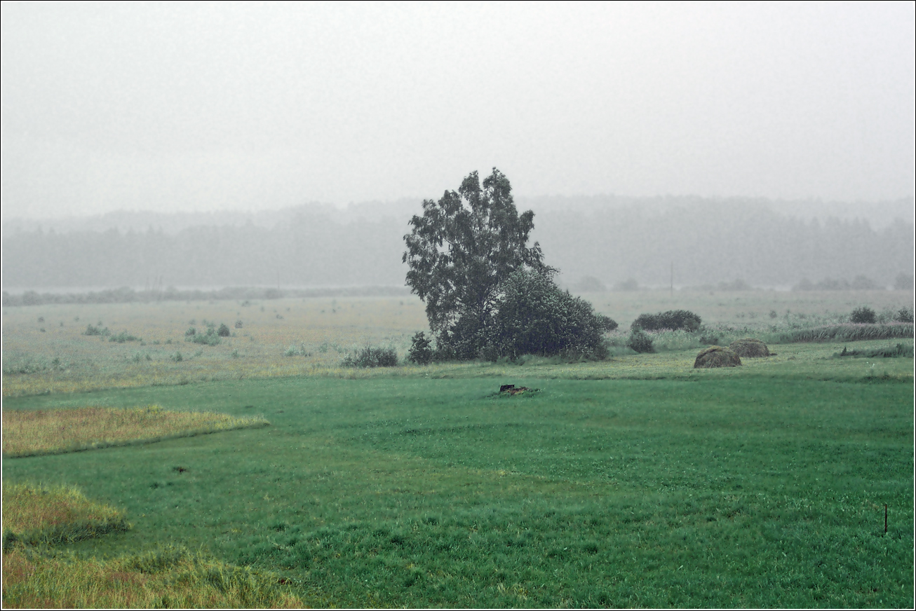 Вазуза, image of landscape/habitat.