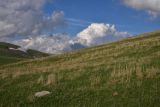 Гора Патара Абули, image of landscape/habitat.