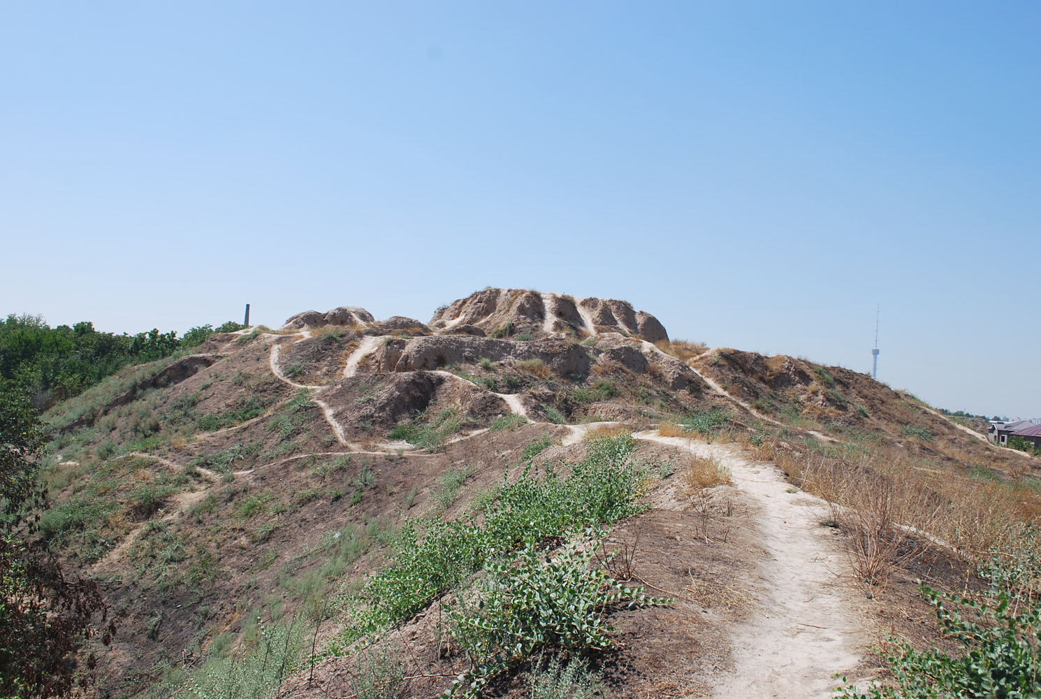 Актепа Юнусабадская, image of landscape/habitat.