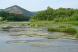 Шаманка, image of landscape/habitat.