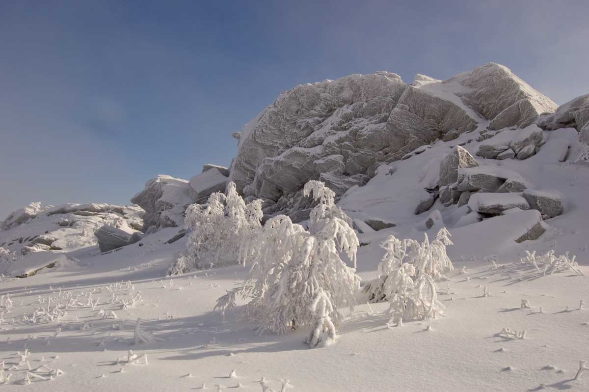 Большой Шатак, image of landscape/habitat.