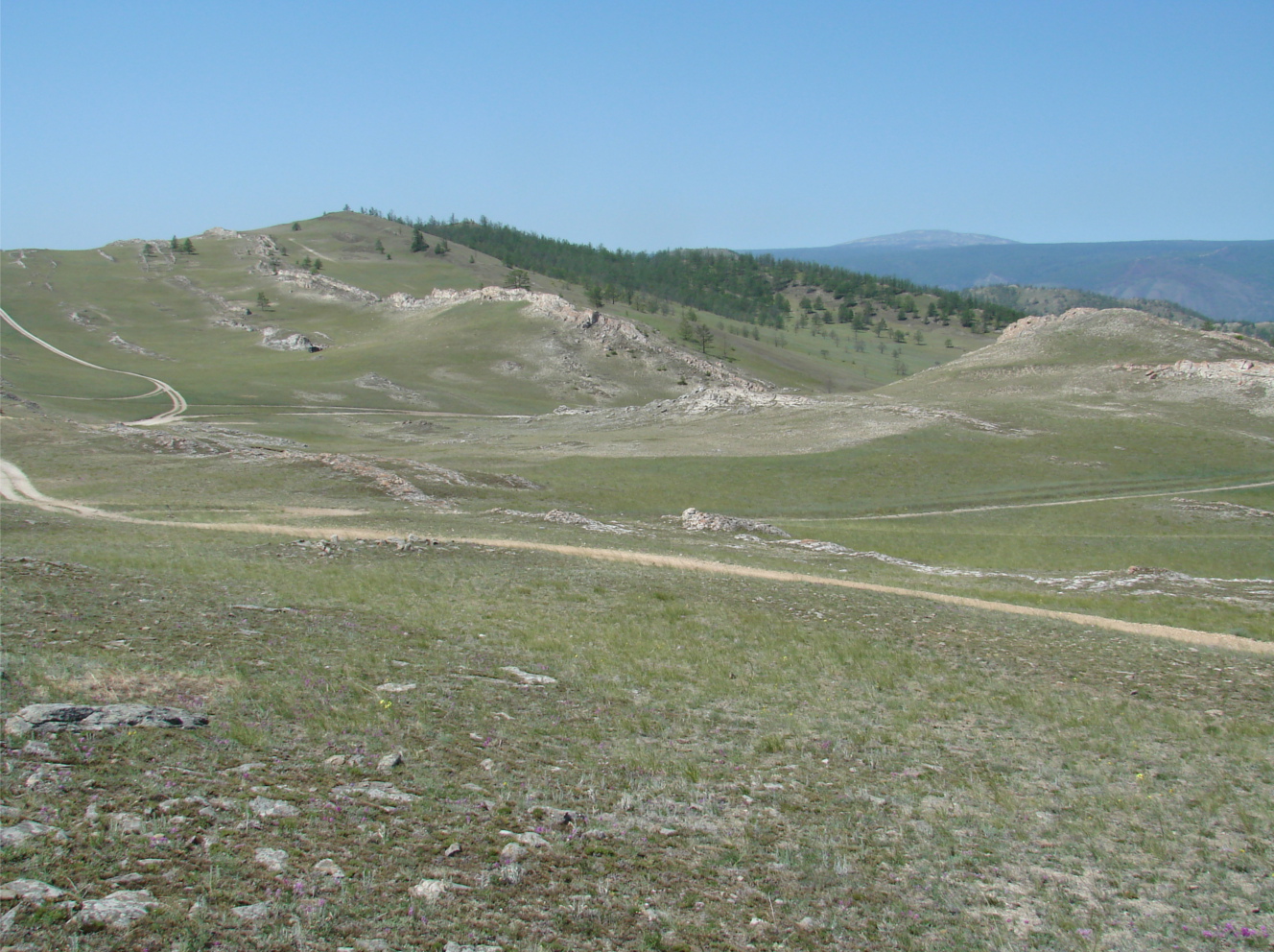 Тажеранская степь, image of landscape/habitat.