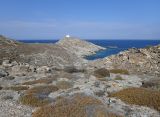 Image of landscape