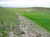 Image of landscape