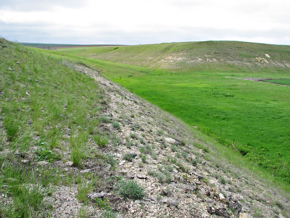 Харцызская балка, image of landscape/habitat.