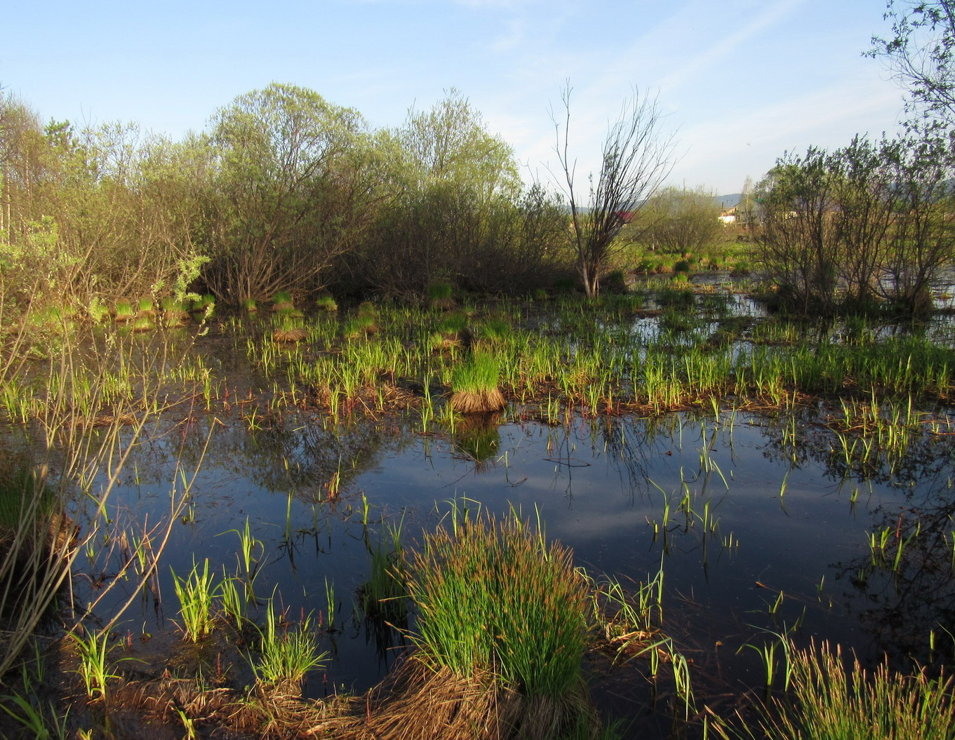 Танзыбей, image of landscape/habitat.