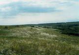 Image of landscape