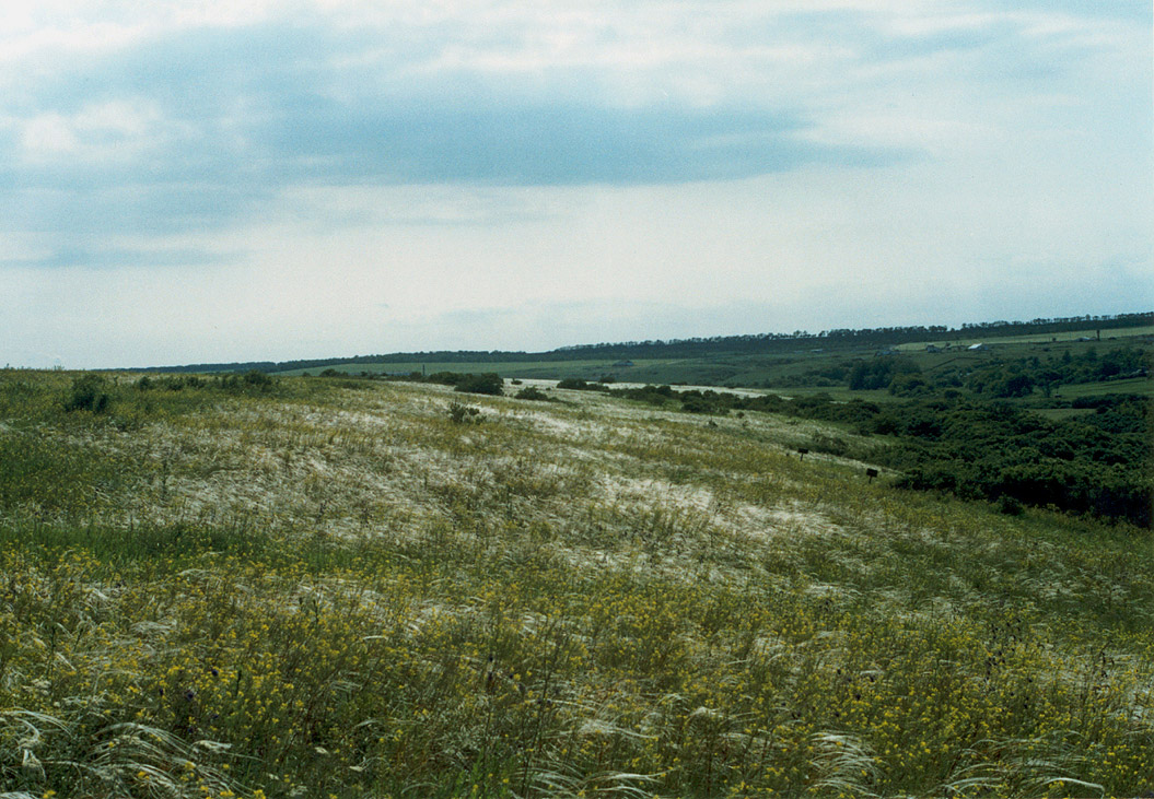 Хомутовская степь, image of landscape/habitat.