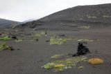 Вулкан Толбачик, image of landscape/habitat.