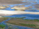 Верхняя Терраса и окрестности, image of landscape/habitat.