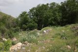 Image of landscape
