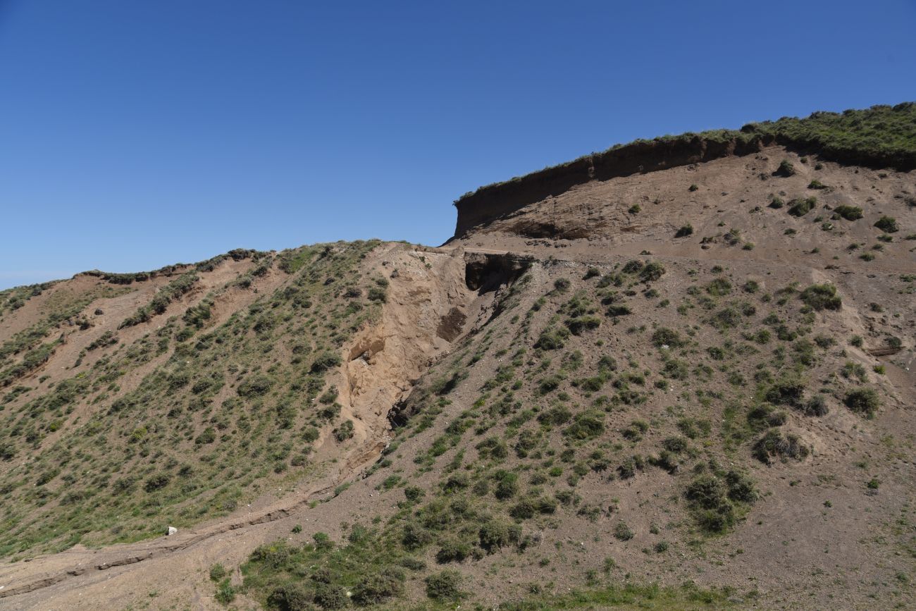 Сырт Магара, image of landscape/habitat.