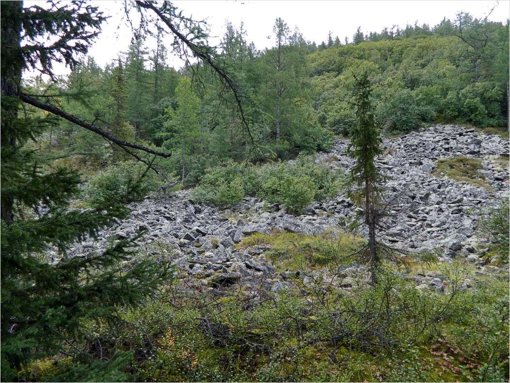 Сенька-Шор, image of landscape/habitat.