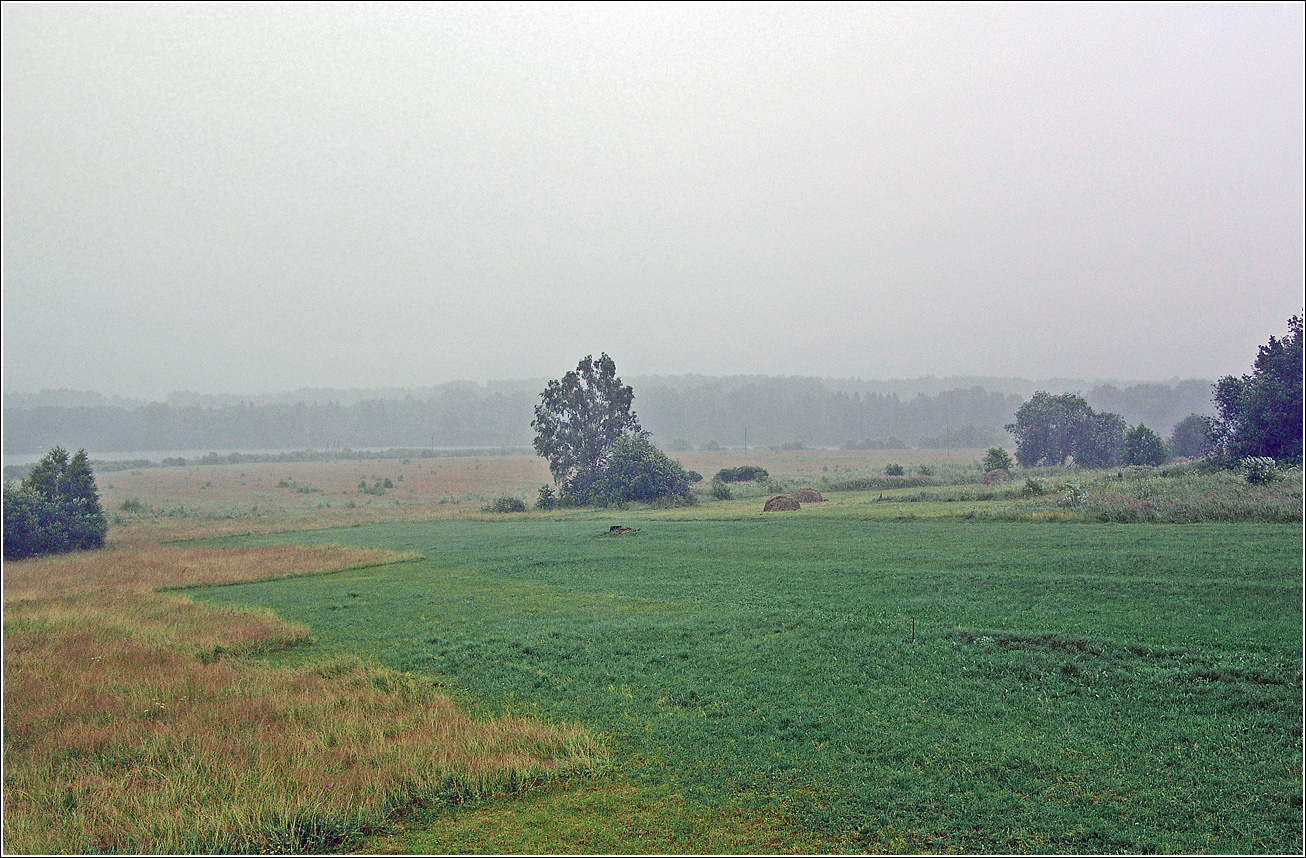 Вазуза, image of landscape/habitat.