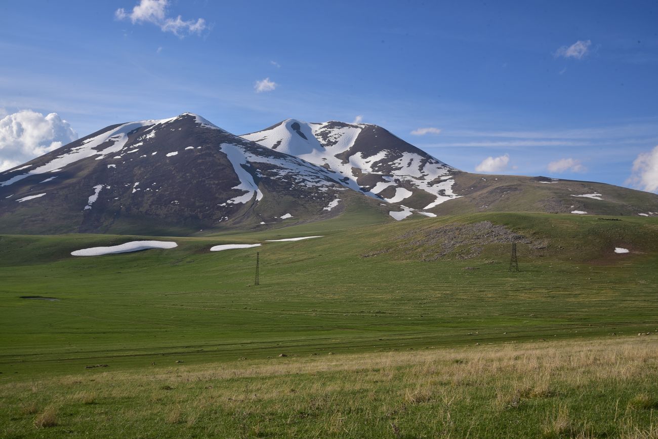 Гора Диди Абули, image of landscape/habitat.