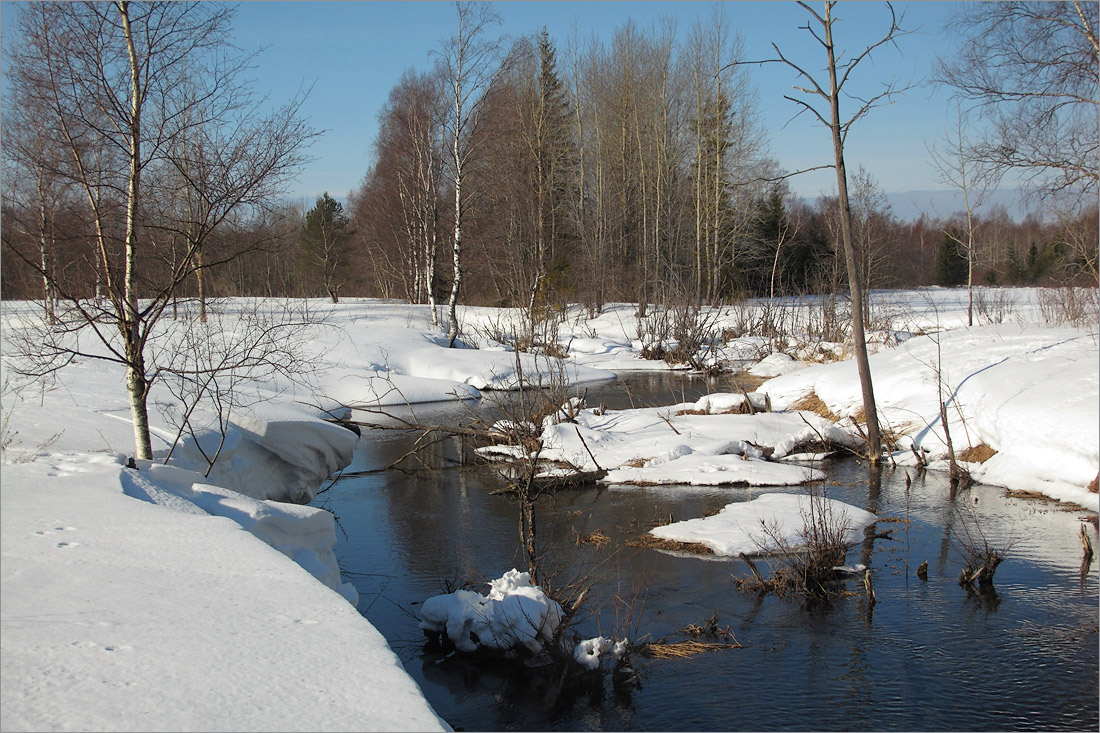 Истоки Шингарки, image of landscape/habitat.