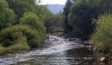 Image of landscape