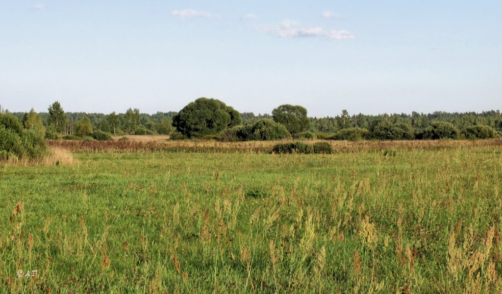 Клец, image of landscape/habitat.