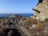 Image of landscape