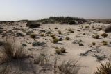 Image of landscape
