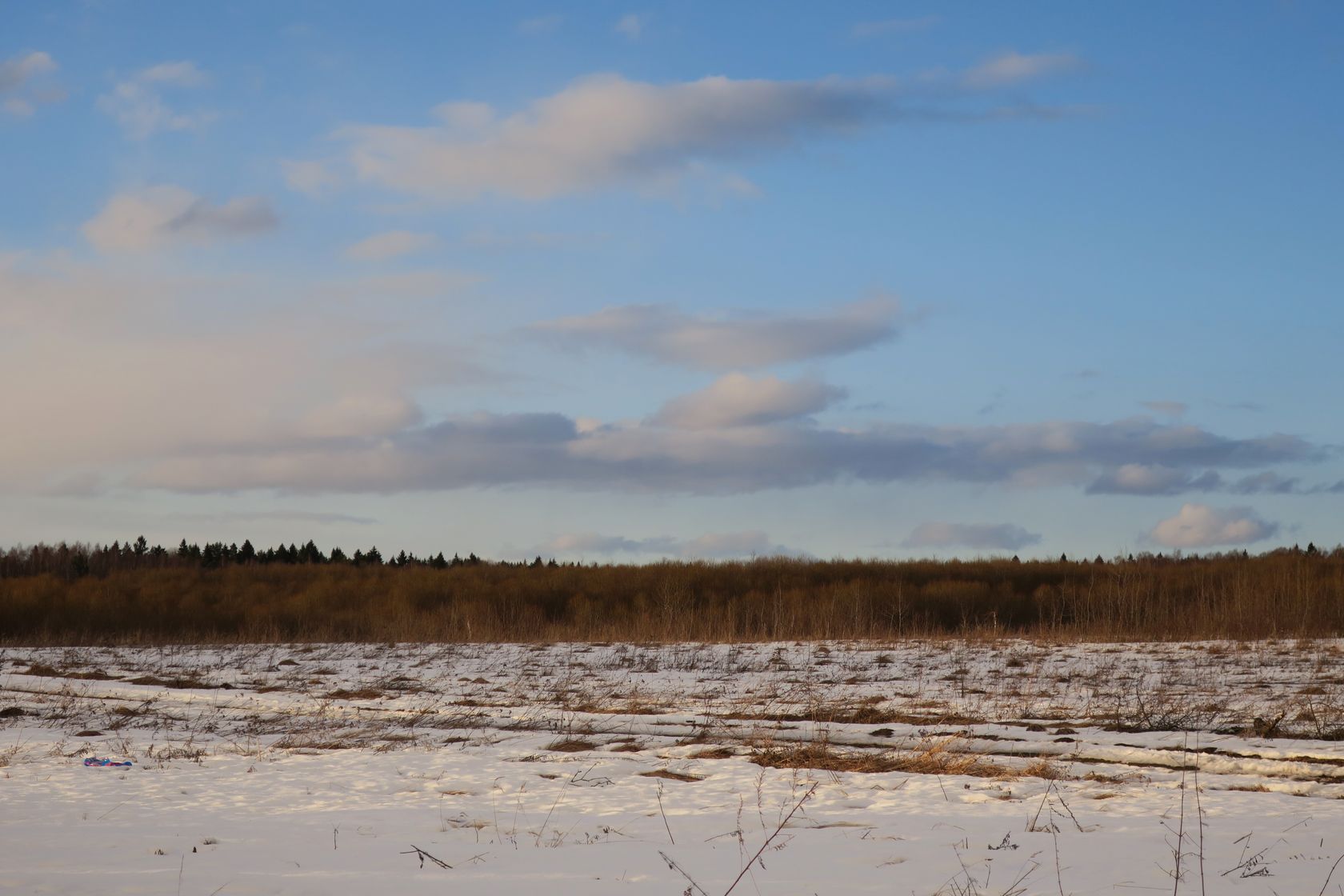 Ерденево, image of landscape/habitat.