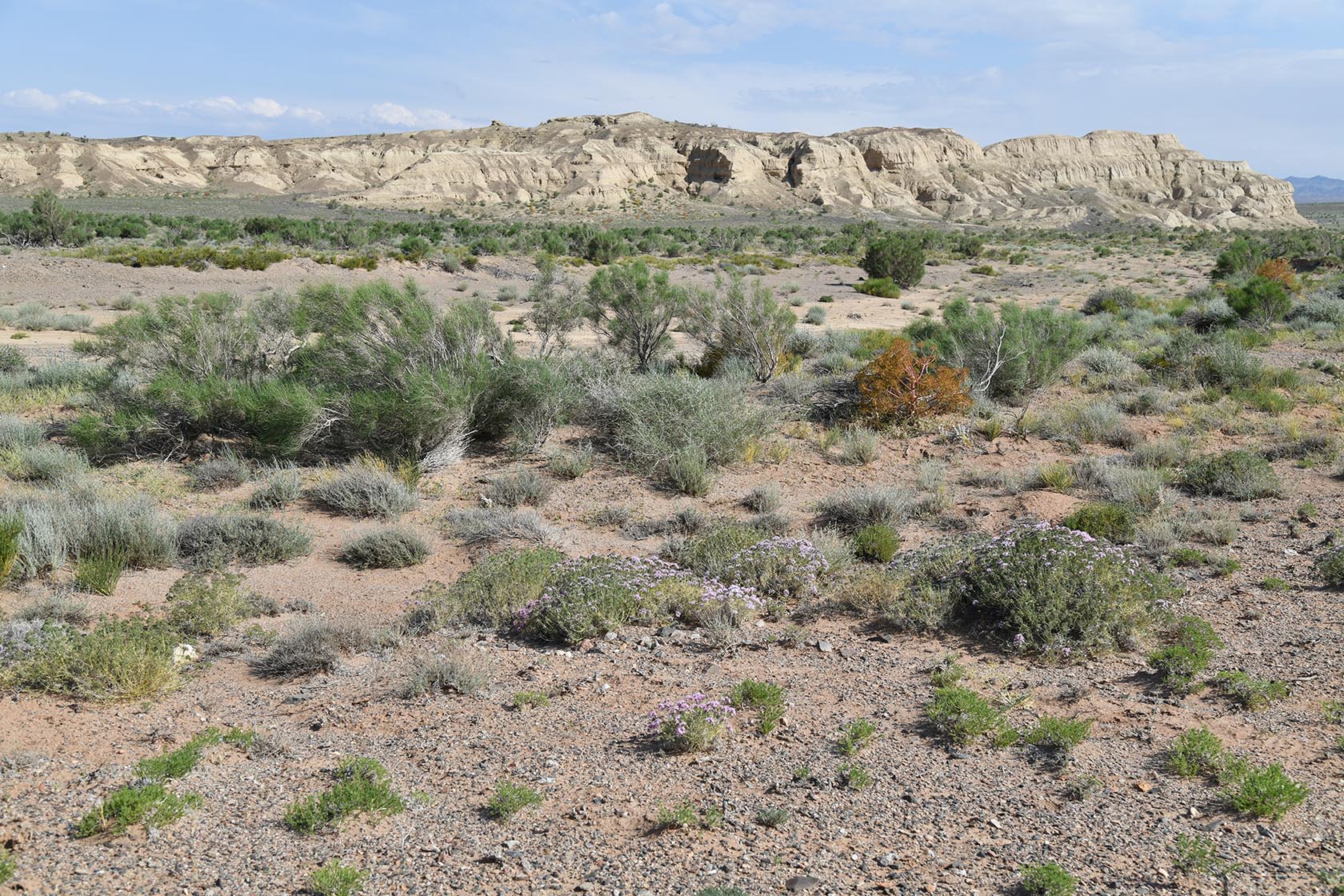 Горы Улькен-Богуты, image of landscape/habitat.