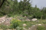 Image of landscape