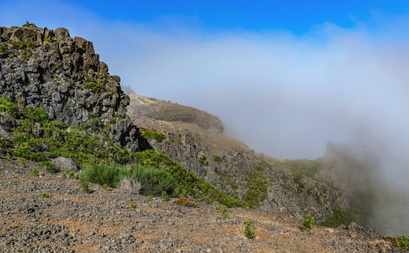 Пику-ду-Ариейру, изображение ландшафта.