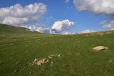 Гора Патара Абули, image of landscape/habitat.