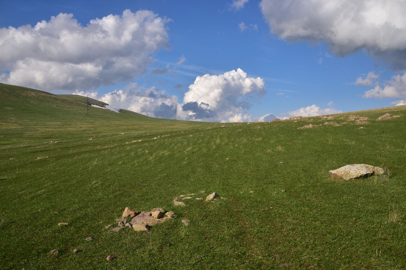 Гора Патара Абули, image of landscape/habitat.