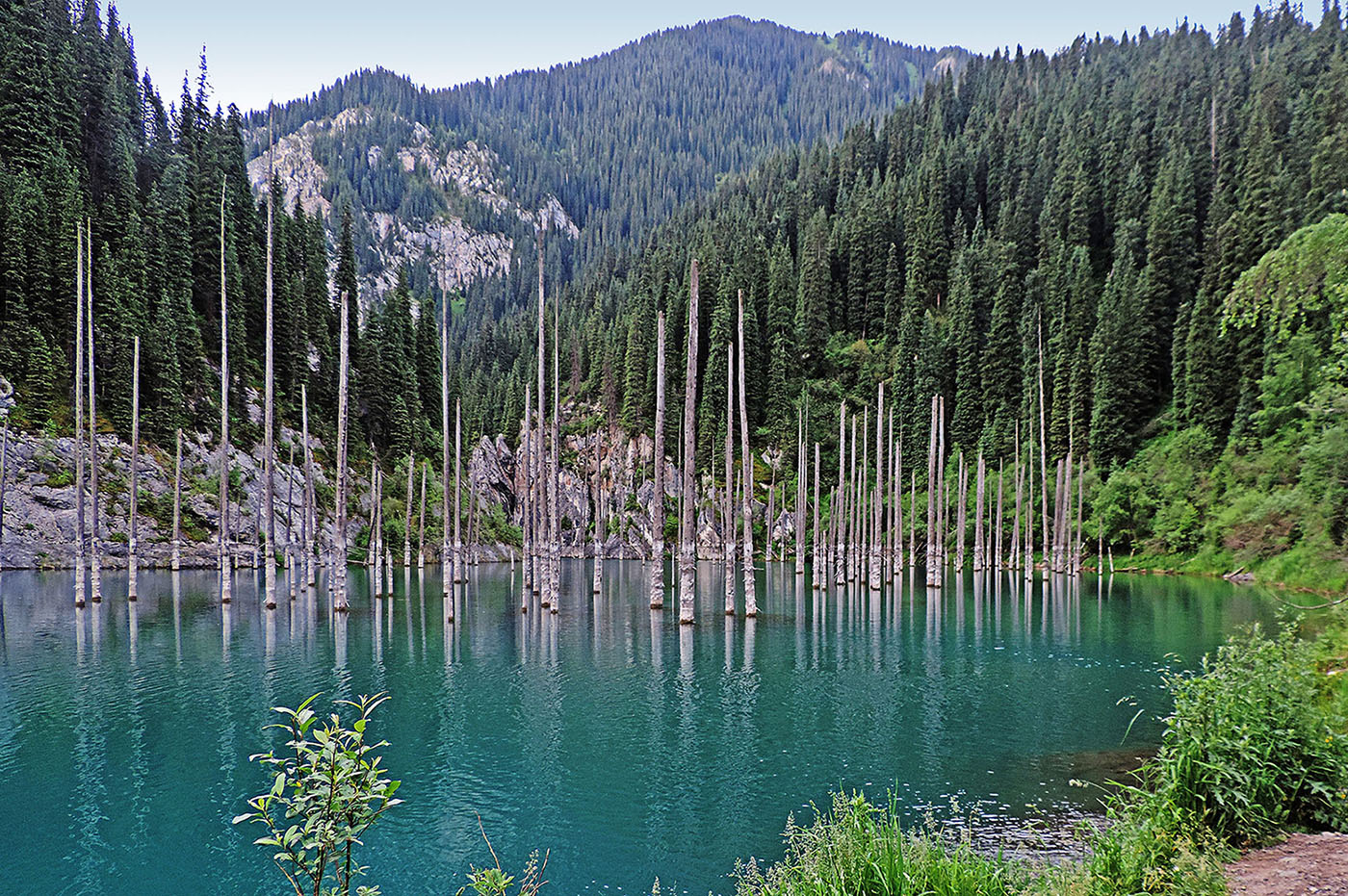 Озеро Каинды, image of landscape/habitat.