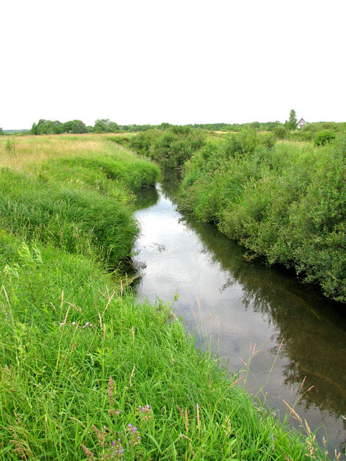 Долина Кисьмы, image of landscape/habitat.