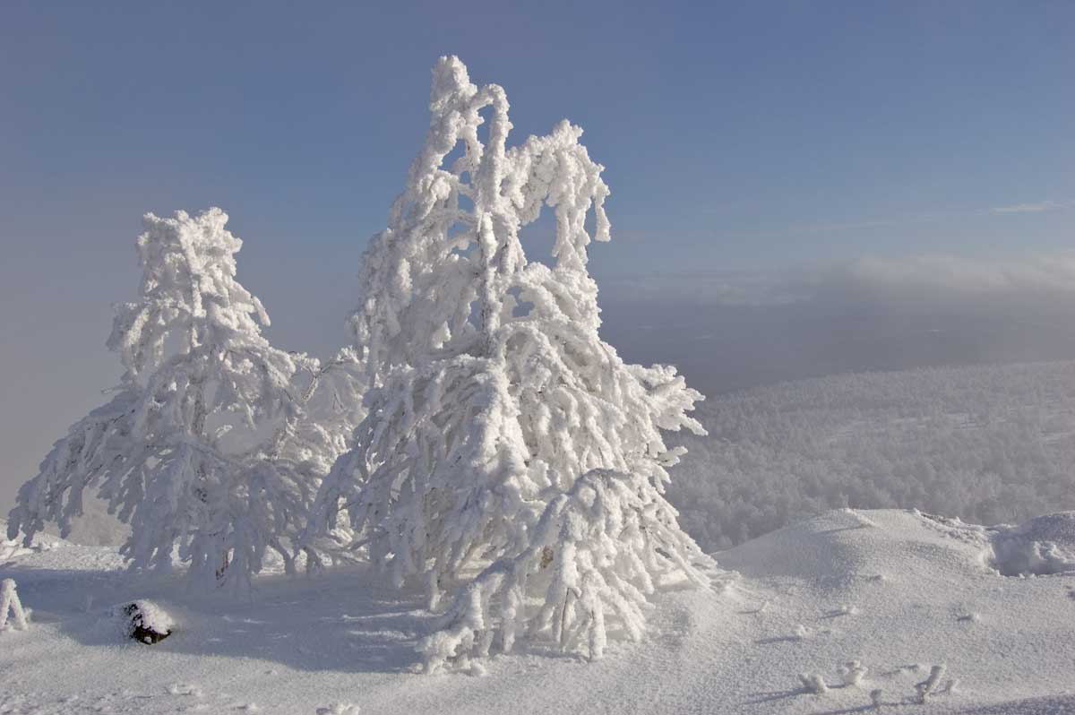 Большой Шатак, image of landscape/habitat.