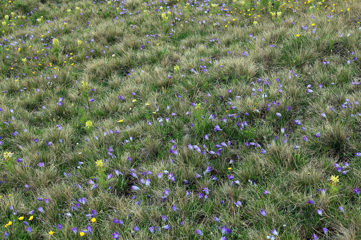 Малая Хатипара, image of landscape/habitat.