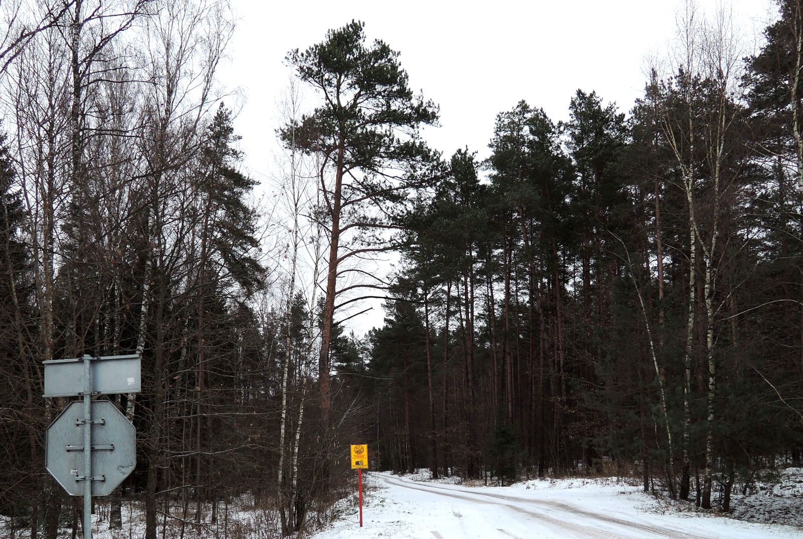 Налибокская пуща, image of landscape/habitat.