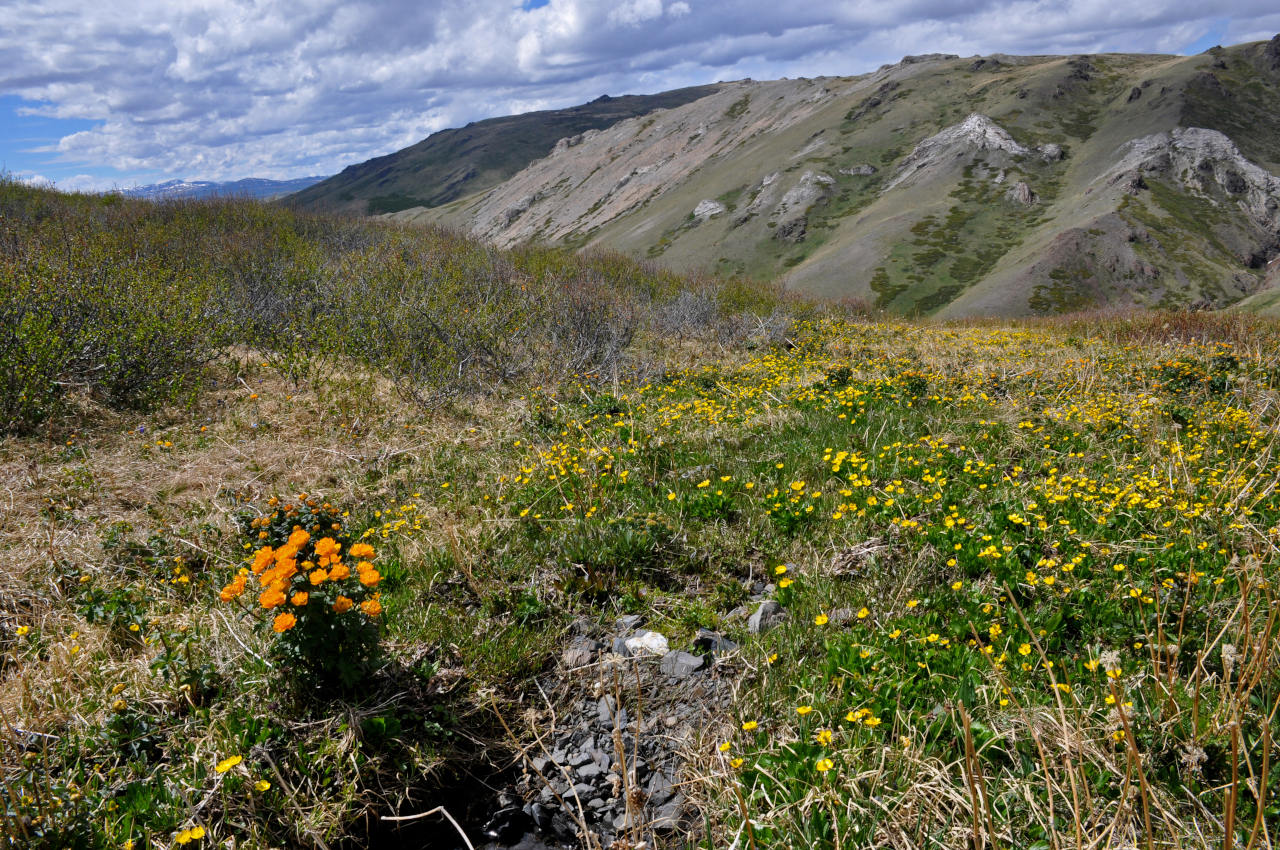 Долина реки Аккаллу-Озек, image of landscape/habitat.