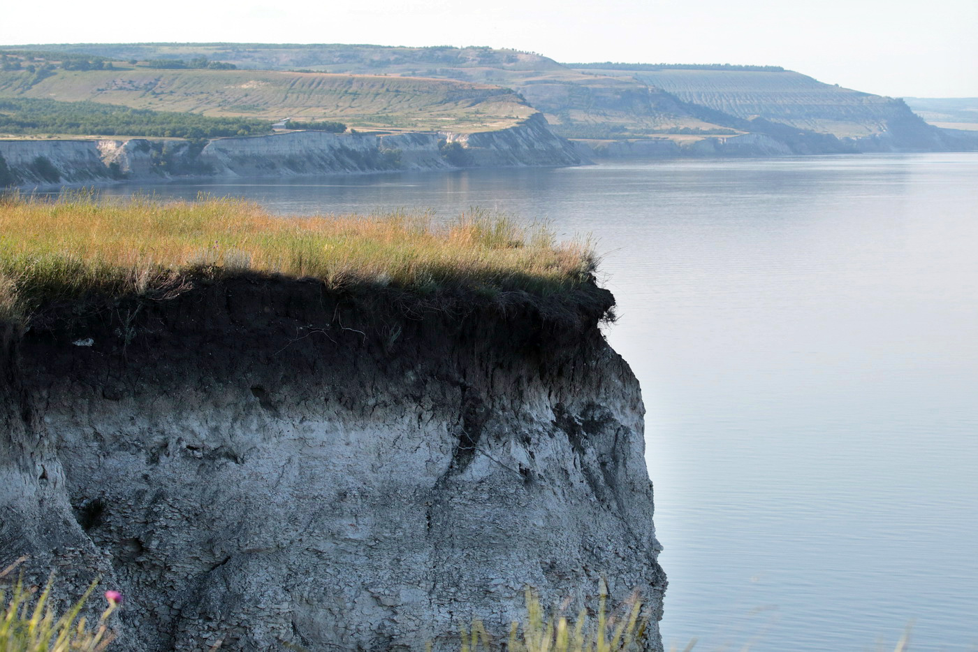 Белогорское, image of landscape/habitat.