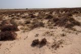 Image of landscape