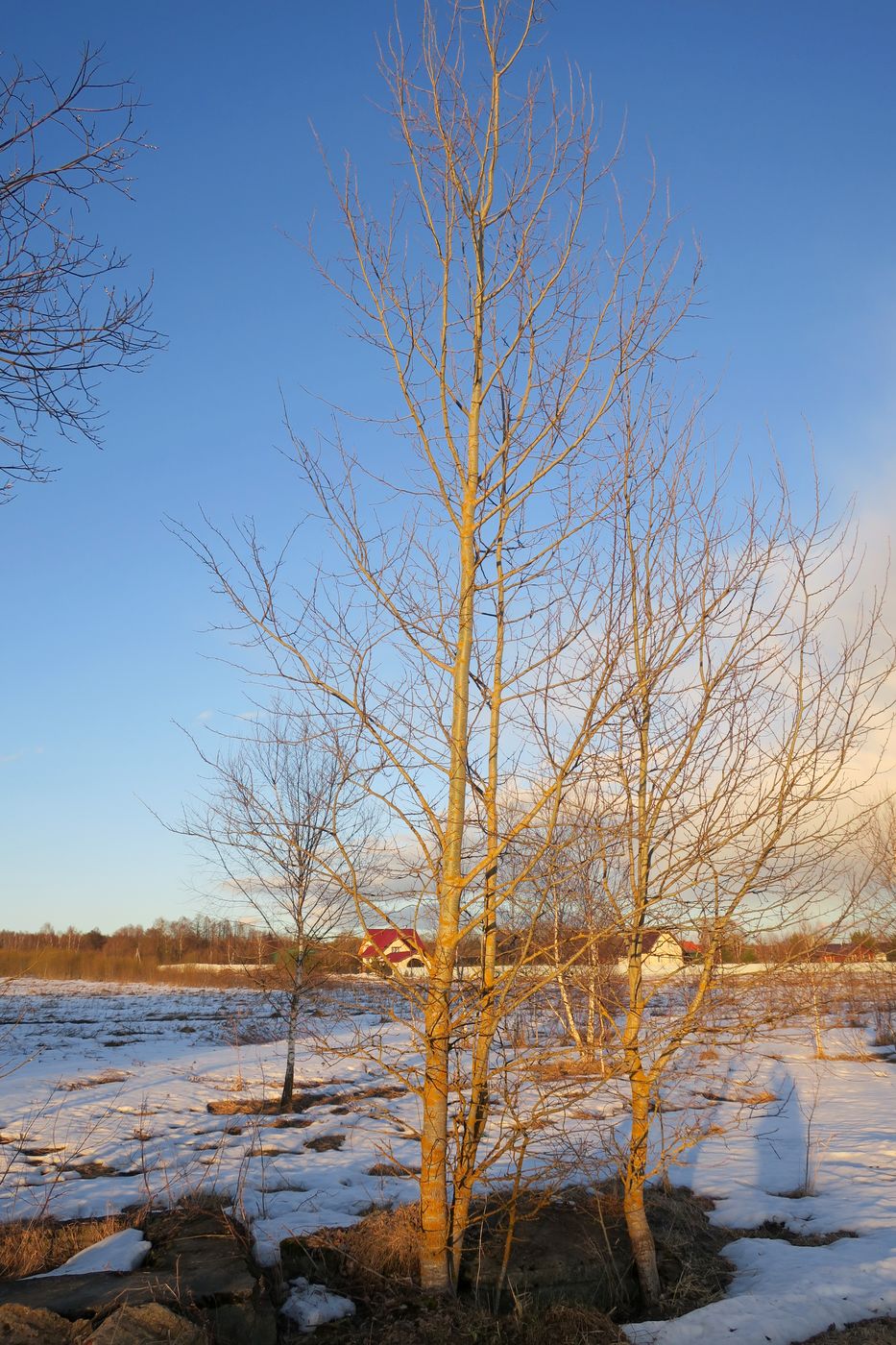 Ерденево, image of landscape/habitat.